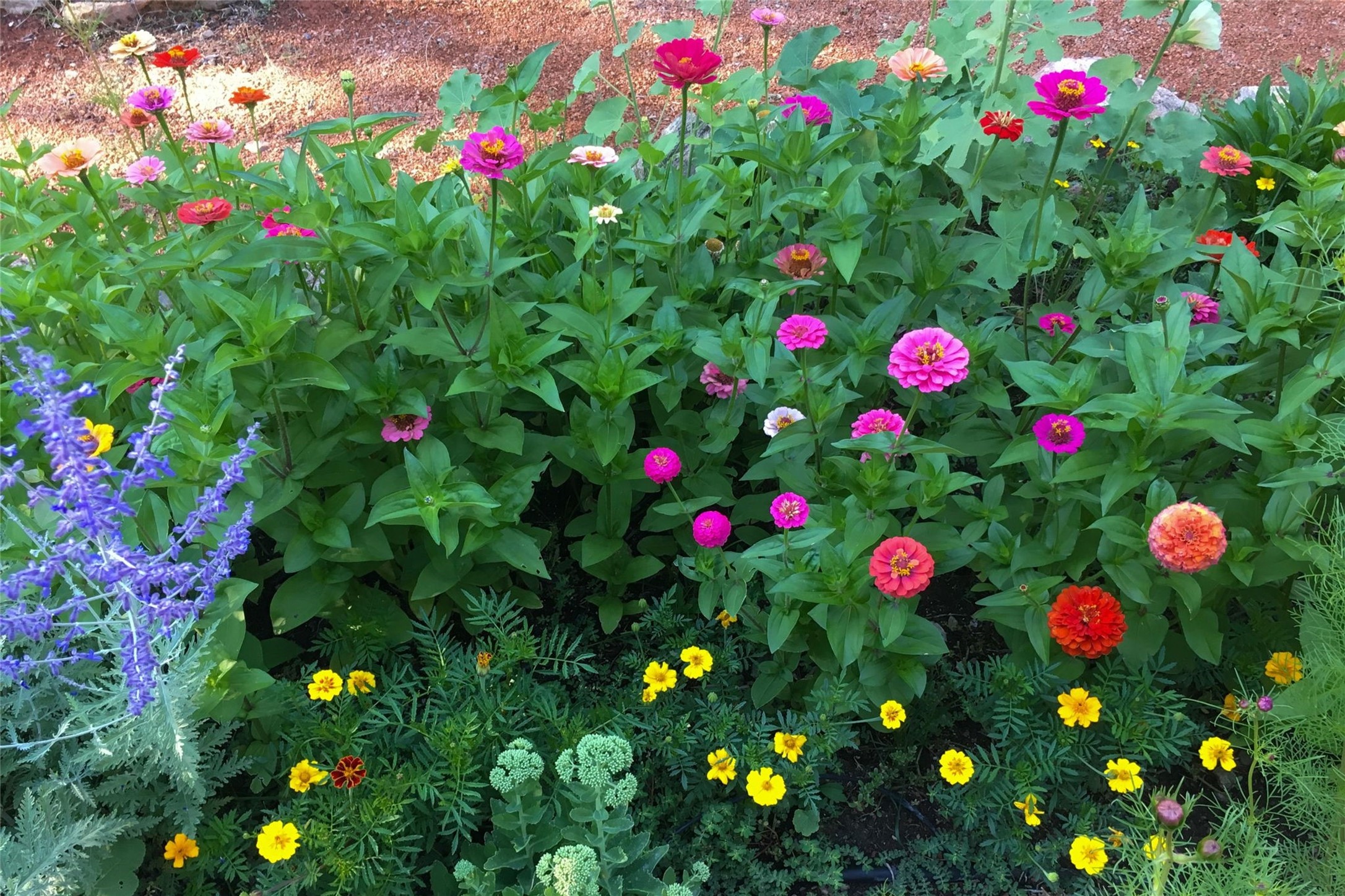  7 Cibola Circle - 物件實景