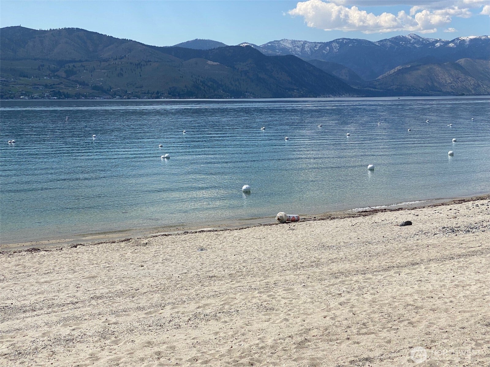 Chelan, Washington, 98816, United States, 3 Bedrooms Bedrooms, ,1 BathroomBathrooms,Residential,For Sale,1699623