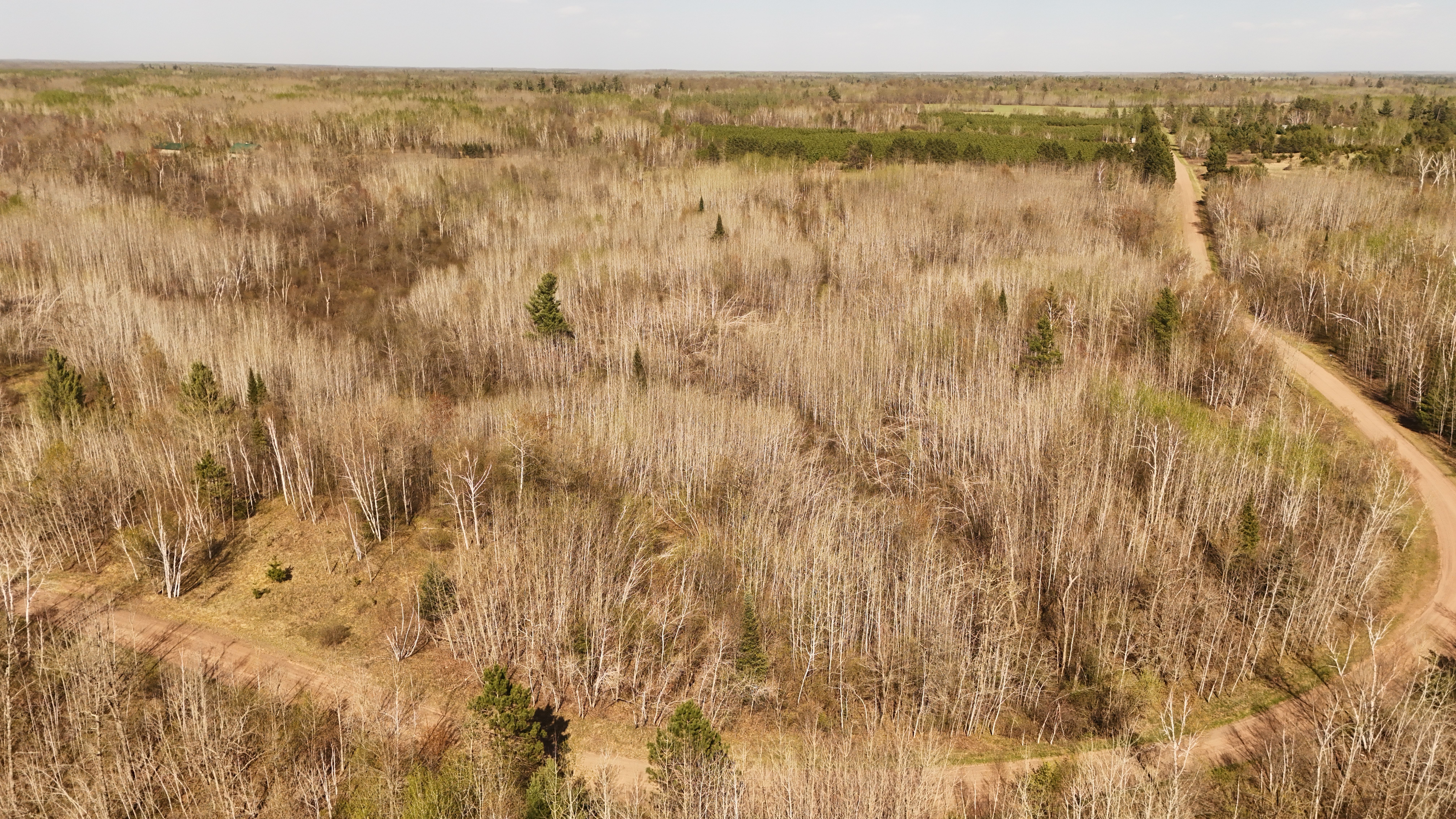  80729 Tamarack Ranch Road, Sandstone, MN 55072 - 物件實景