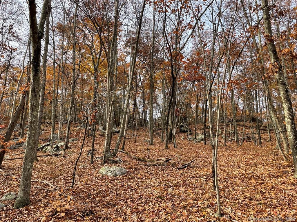 New Fairfield, Connecticut, 06812, United States, ,Residential,For Sale,1986113