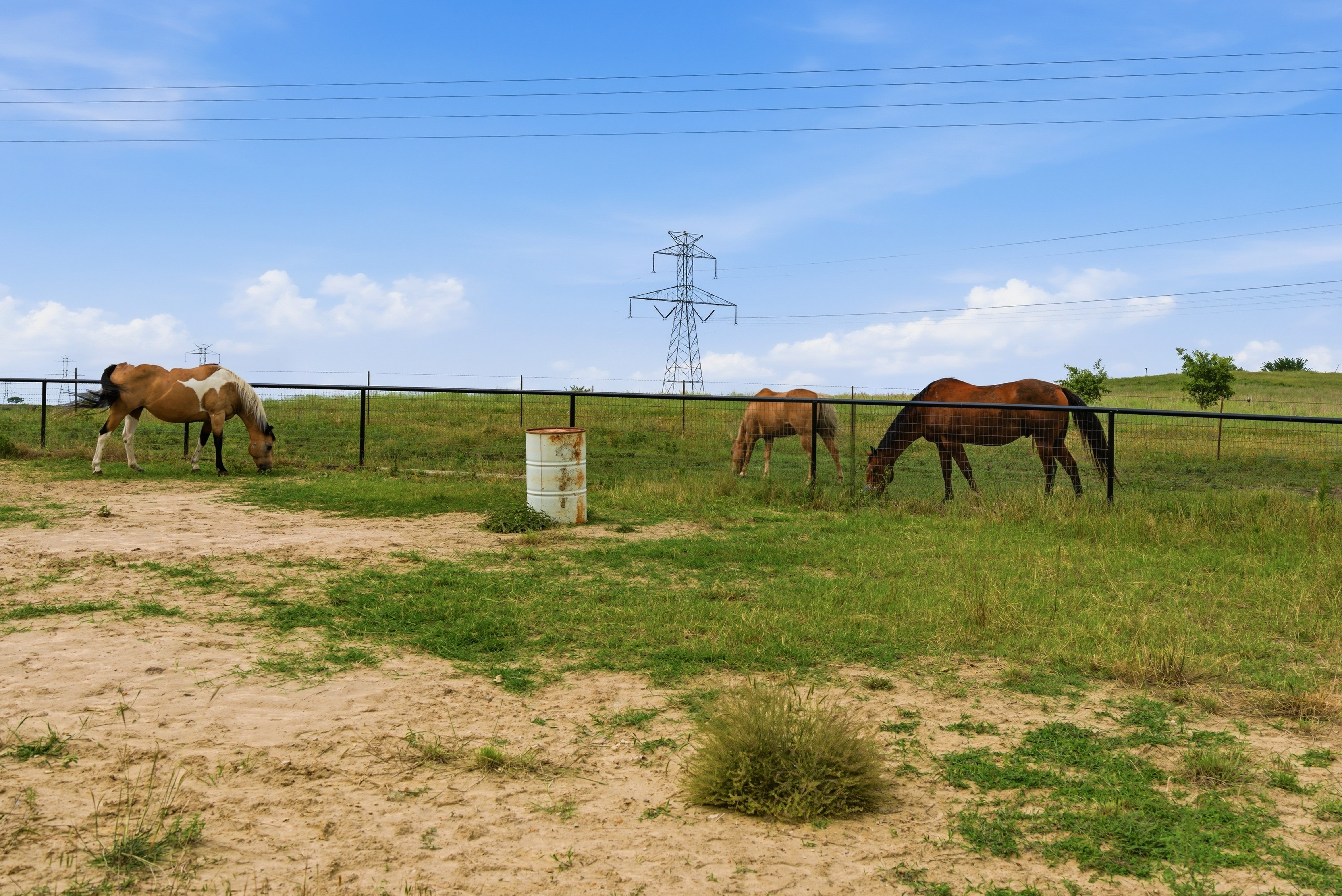  160 Aledo Ridge Road, Fort Worth, TX, 76126 - 物件實景