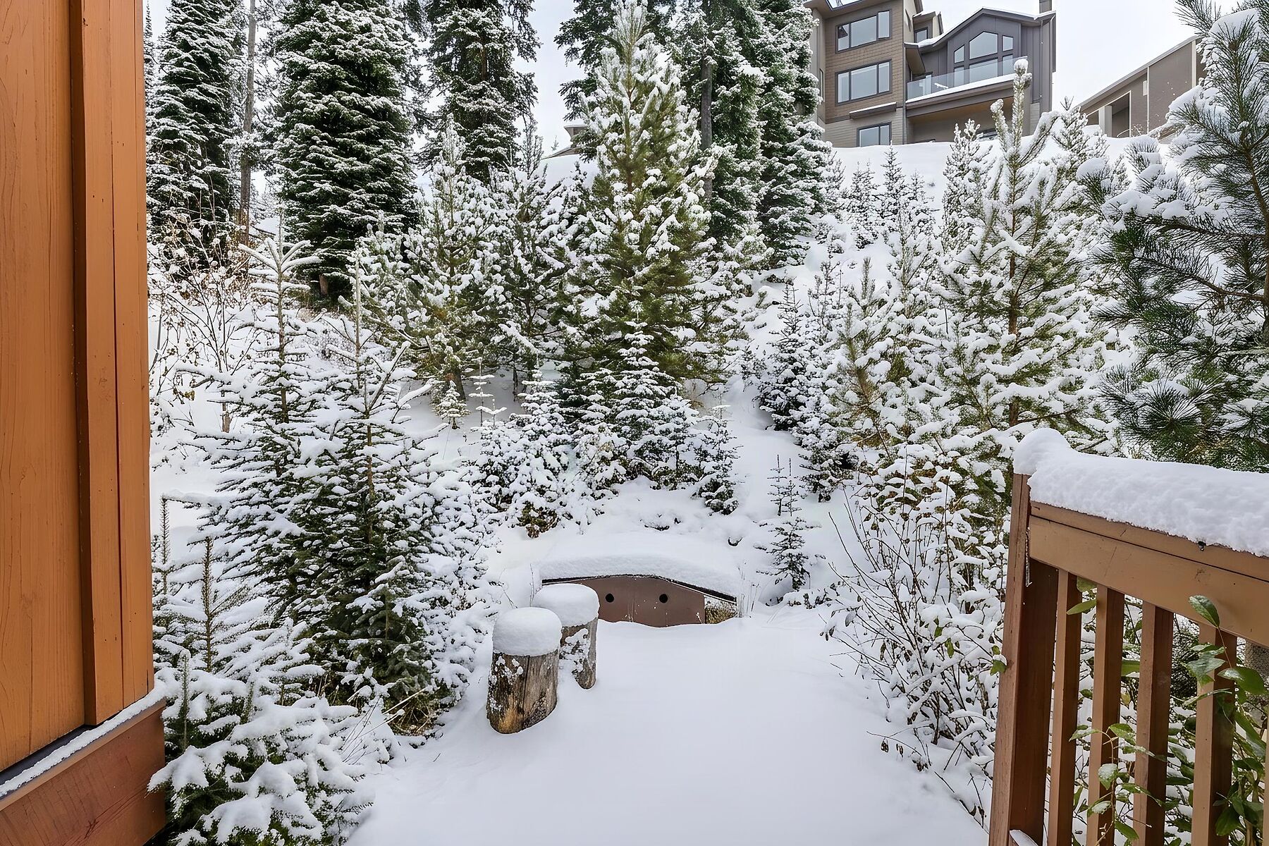  Stunning Ski Chalet - 物件實景