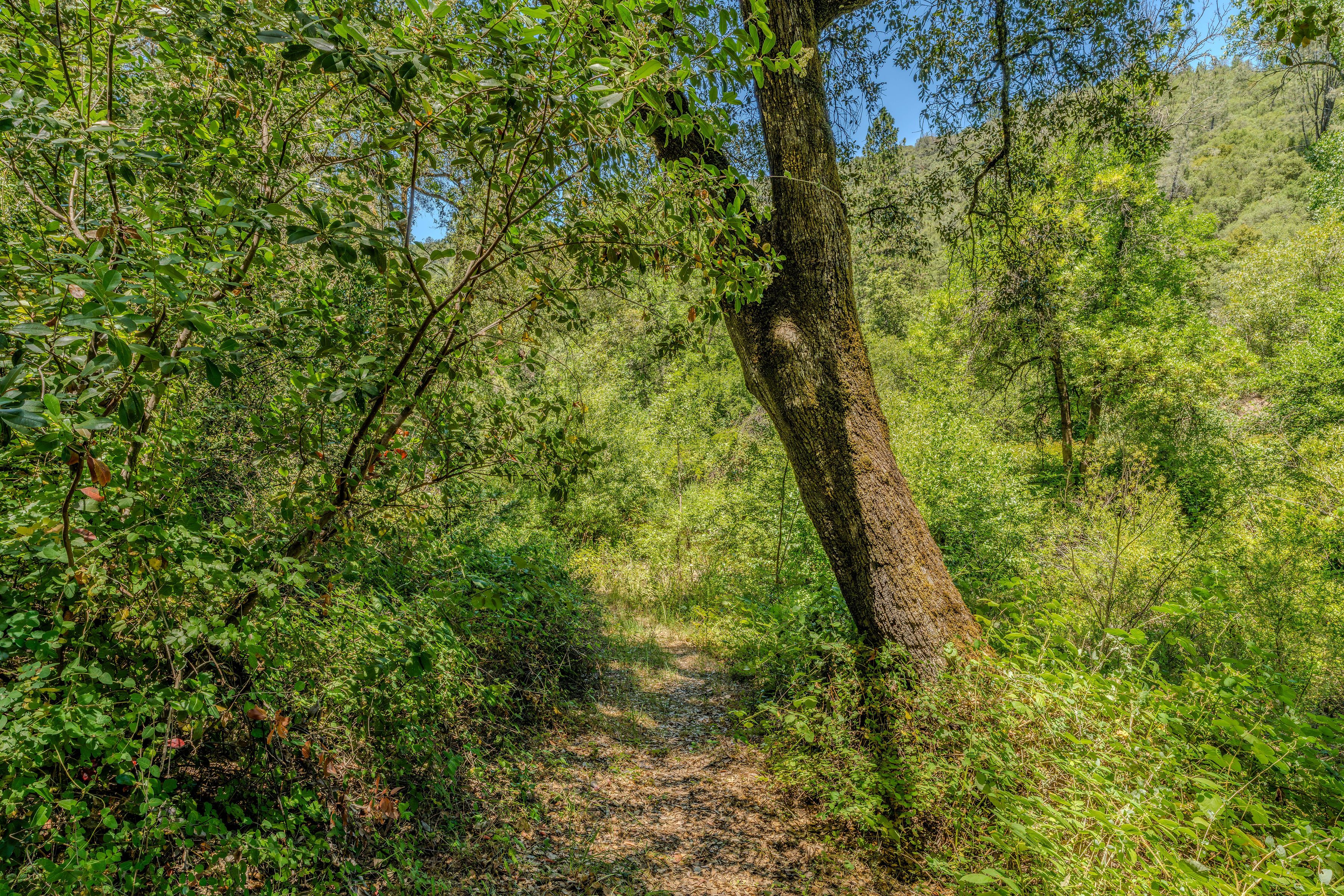 16000 Sutter Creek Road, Sutter Creek, CA 95685 - 物件實景