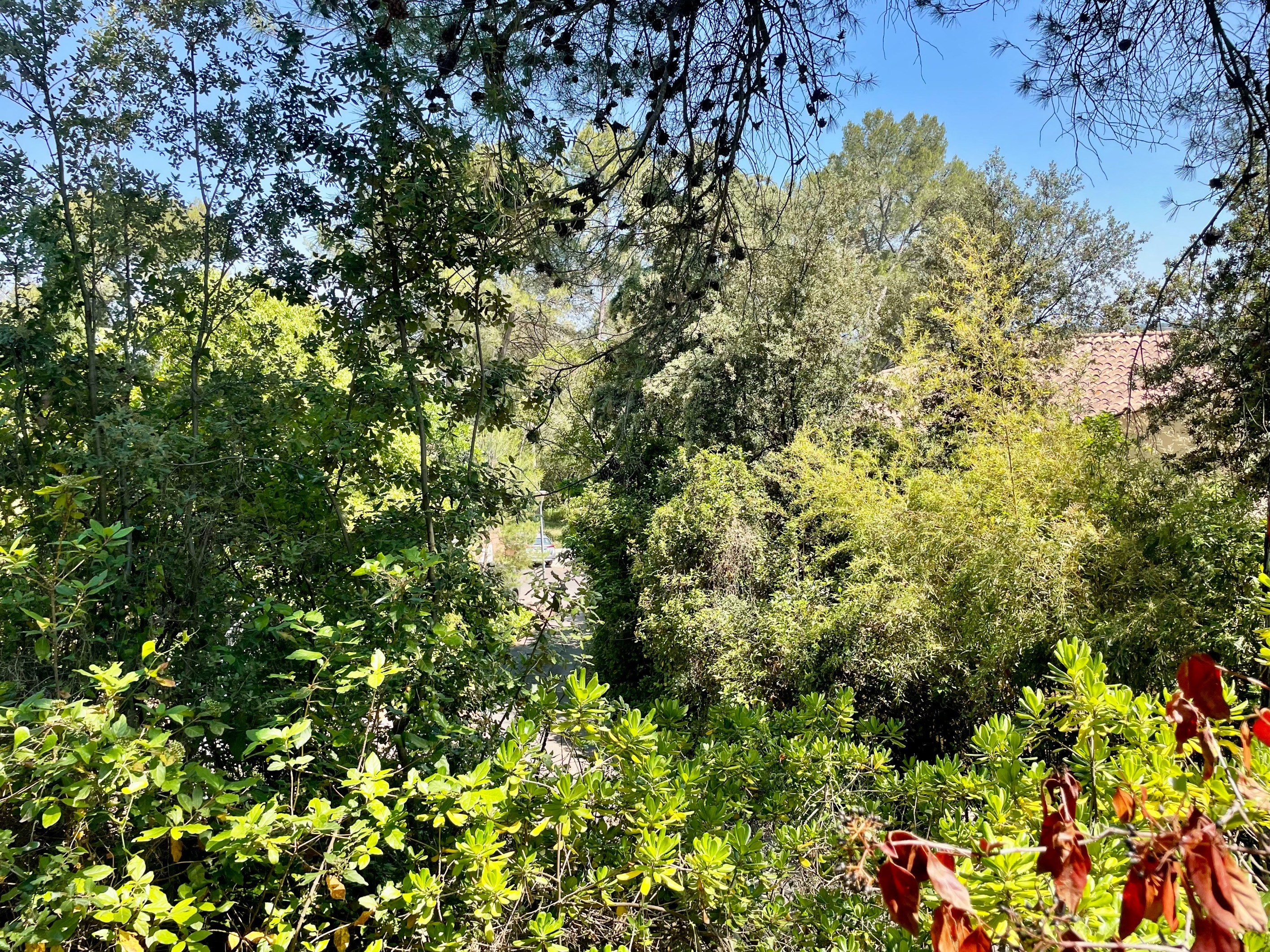  Exceptional property – Plan des Quatre Seigneurs, Montpellier - 物件實景