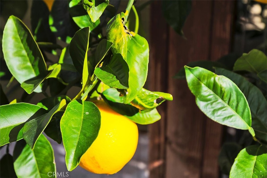 Wildomar, California, 92595, United States, 5 Bedrooms Bedrooms, ,3 BathroomsBathrooms,Residential,For Sale,1996394