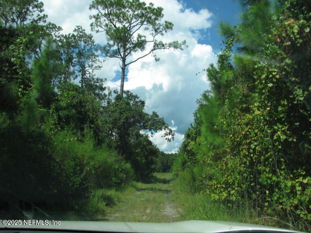Crescent City, Florida, 32112, United States, ,Land,For Sale,1974247