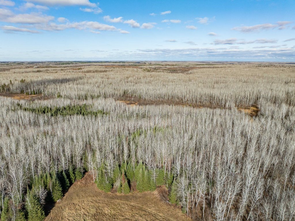 Grand Rapids, Minnesota, 55744, United States, ,Land,For Sale,1983791