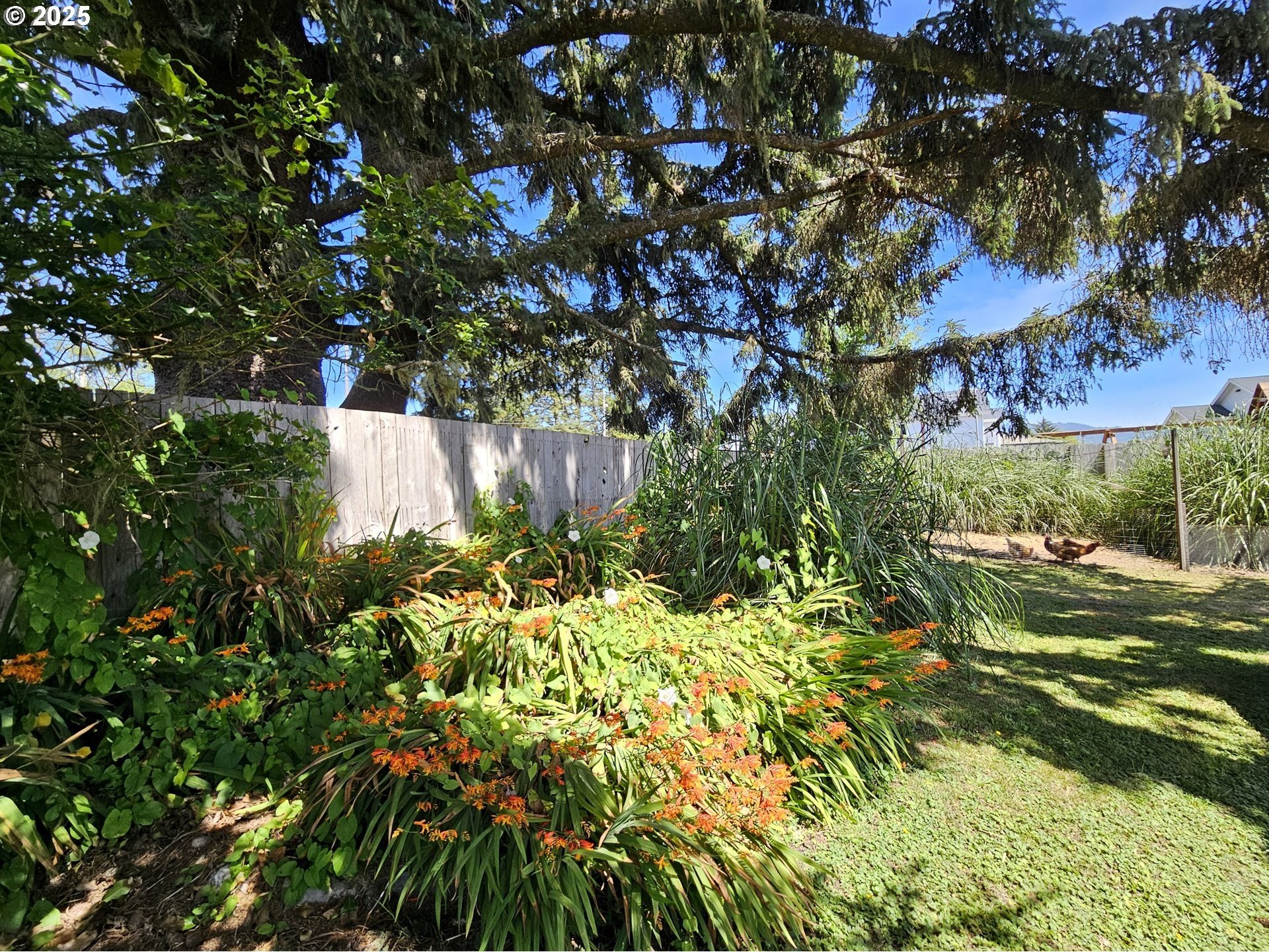 Brookings, Oregon, 97415, United States, 3 Bedrooms Bedrooms, ,3 BathroomsBathrooms,Residential,For Sale,1974179