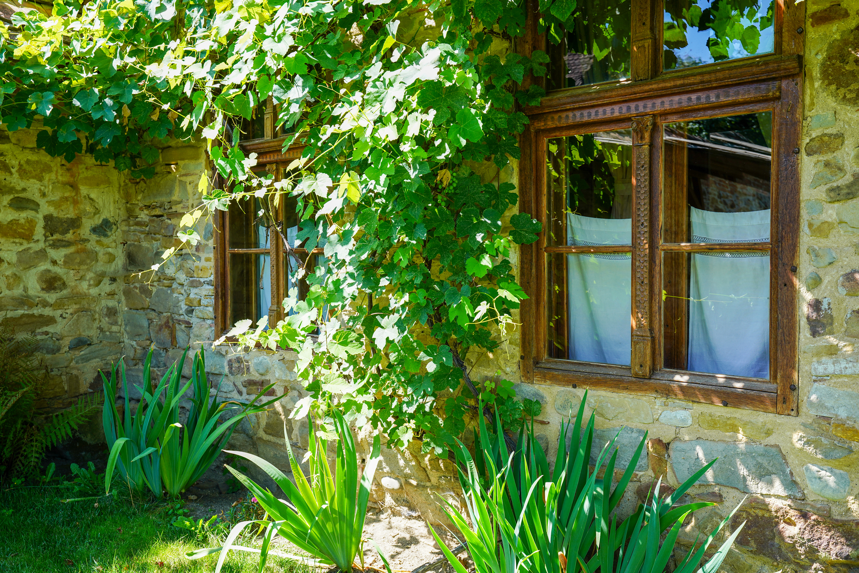  Restored Authentic Saxon House in Viscri, Between Heritage and Nature - 物件實景
