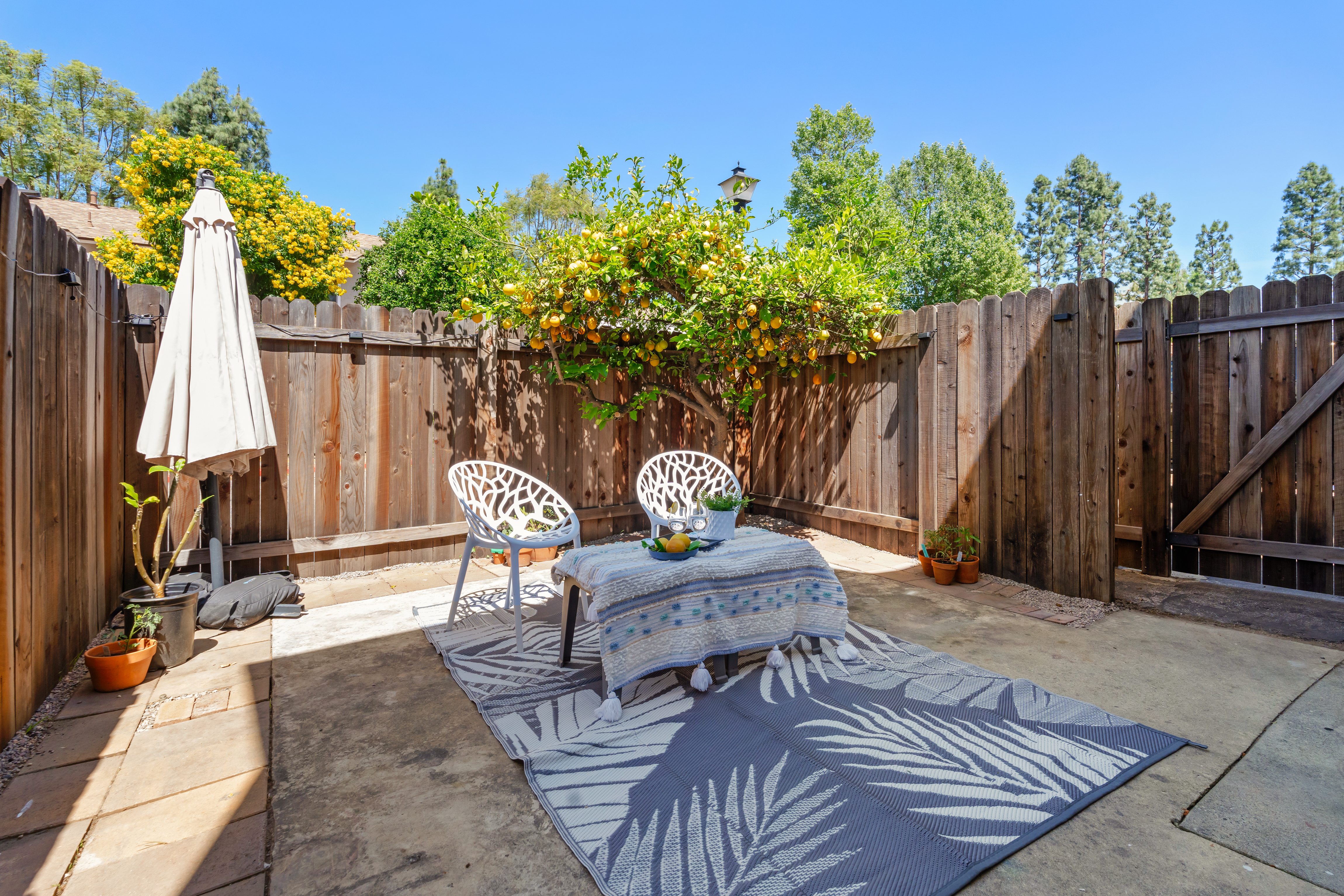  15124 Campus Park Drive, C, Moorpark, CA 93021 - 物件實景