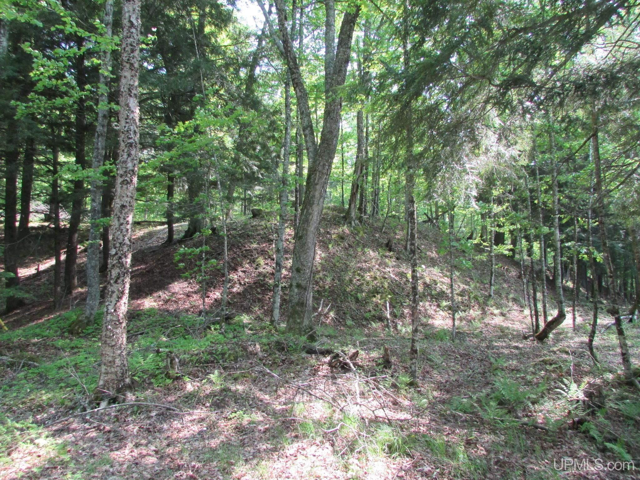 Skanee, Michigan, 49962, United States, 3 Bedrooms Bedrooms, ,2 BathroomsBathrooms,Residential,For Sale,1975456