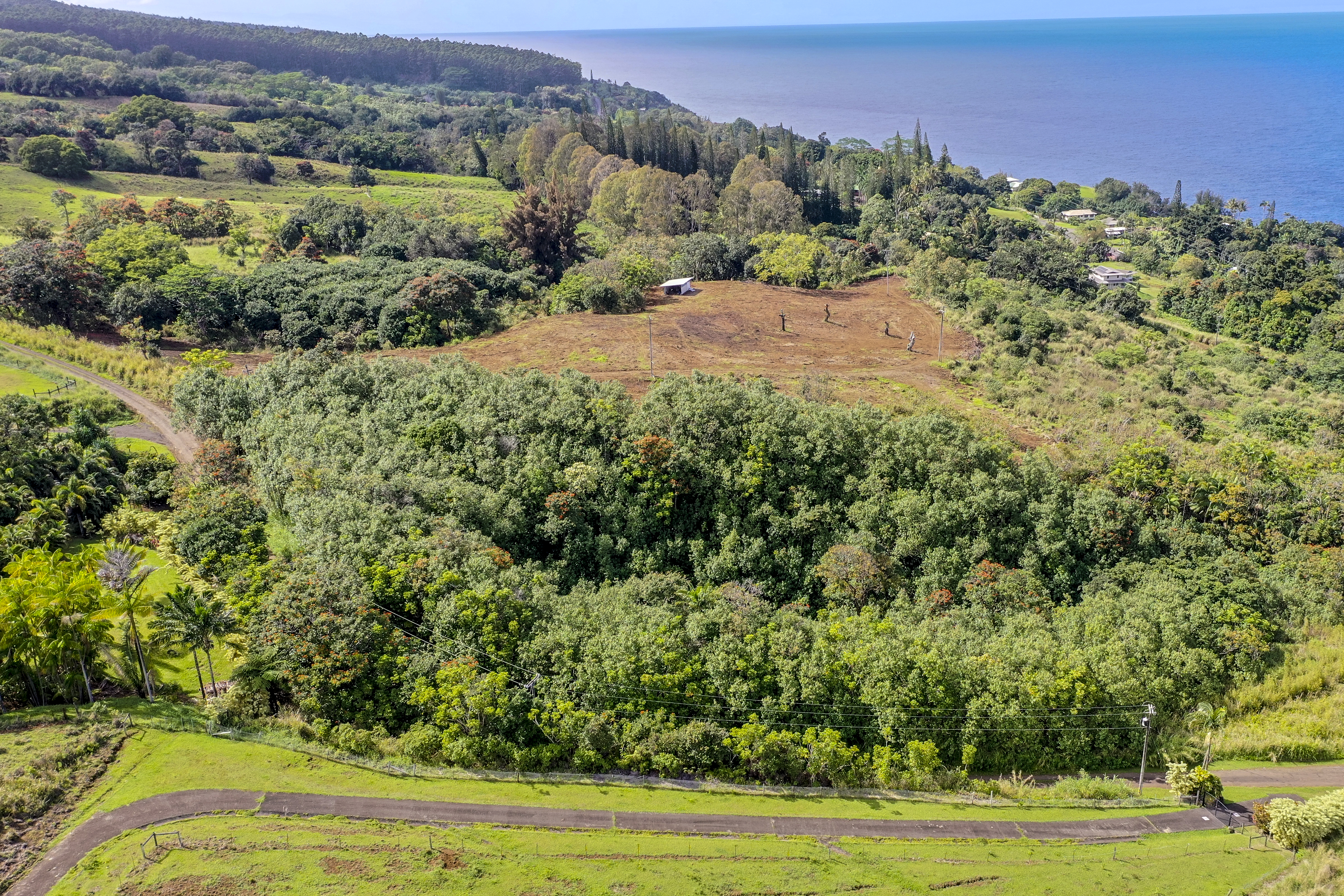  32-360 Kapena Rd, Ninole, HI, 96773 - 物件實景