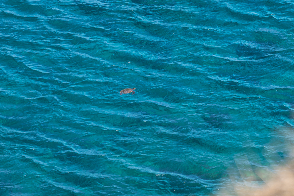 Hawi, Hawaii, 96719, United States, ,Land,For Sale,1997291