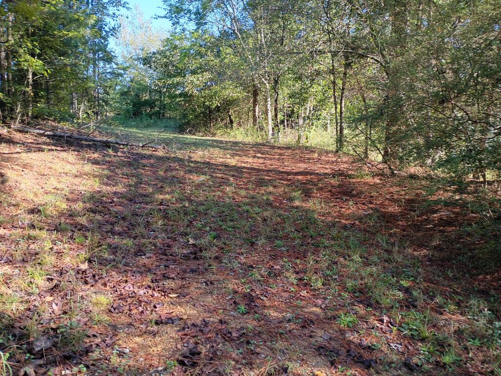 Maple Grove Church Rd, Chatsworth, GA 30705 #1