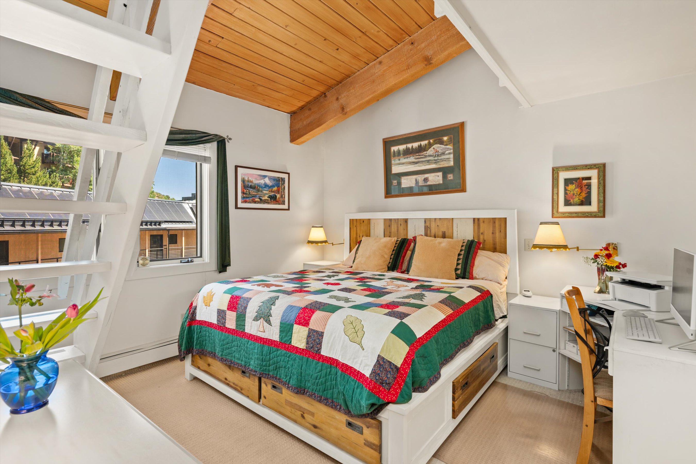  35 Upper Woodbridge Road, Snowmass Village, CO, 81615 - 物件實景