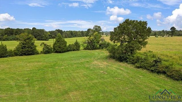 Henderson, Texas, 75654, United States, ,Land,For Sale,1951348