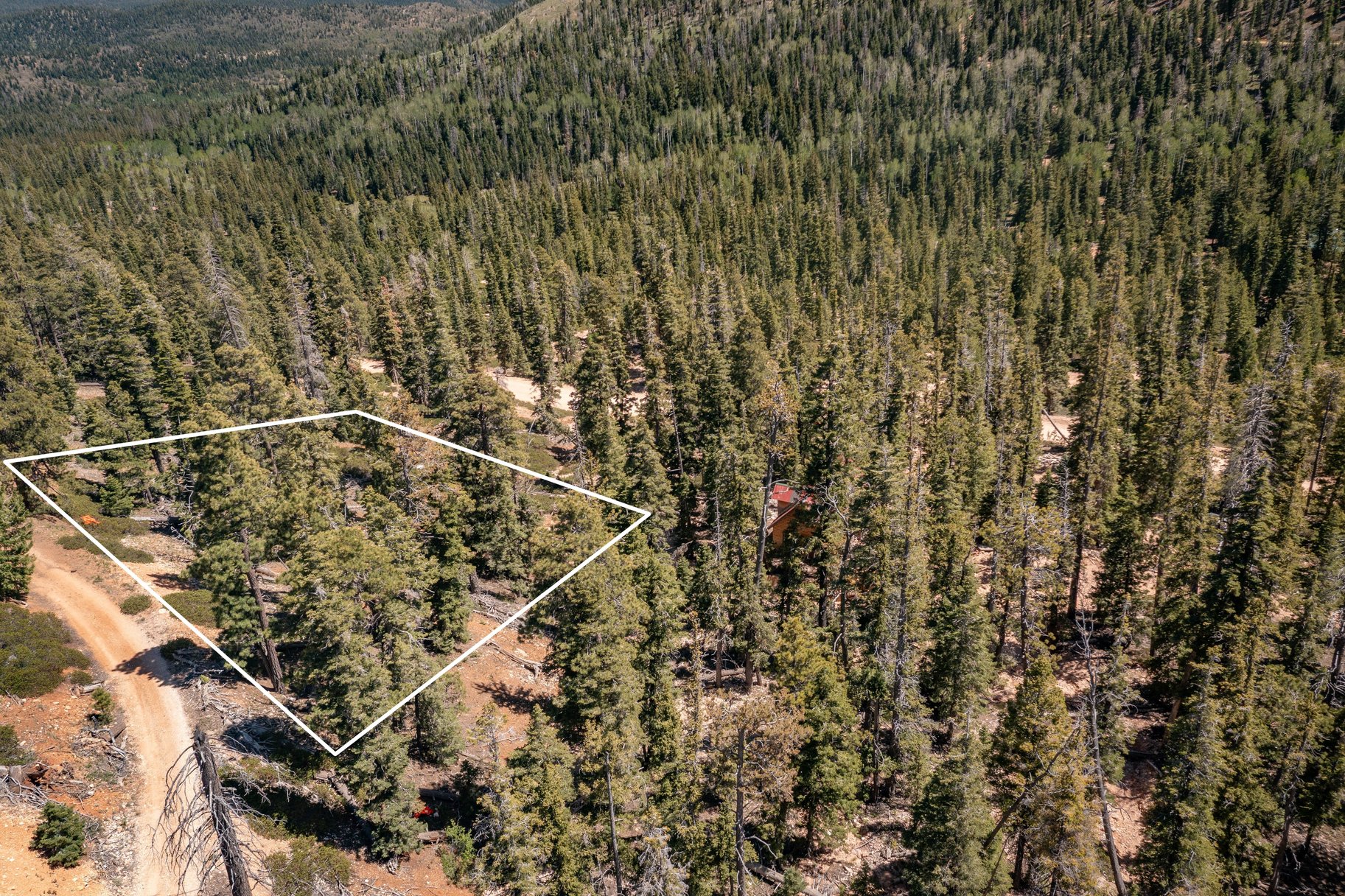  Quiet Mountain Retreat Near Navajo Lake - 物件實景