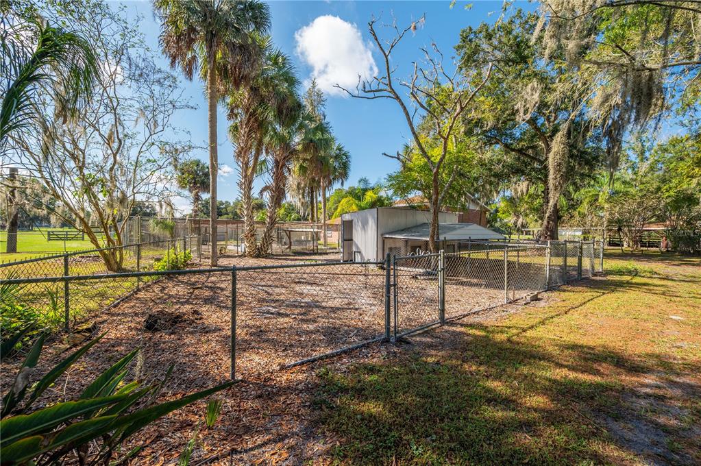 4911 W Sam Allen Road, Plant City, Florida, 33565, United States, 5 Bedrooms Bedrooms, ,3 BathroomsBathrooms,Residential,For Sale,4911 W Sam Allen Road,1672218