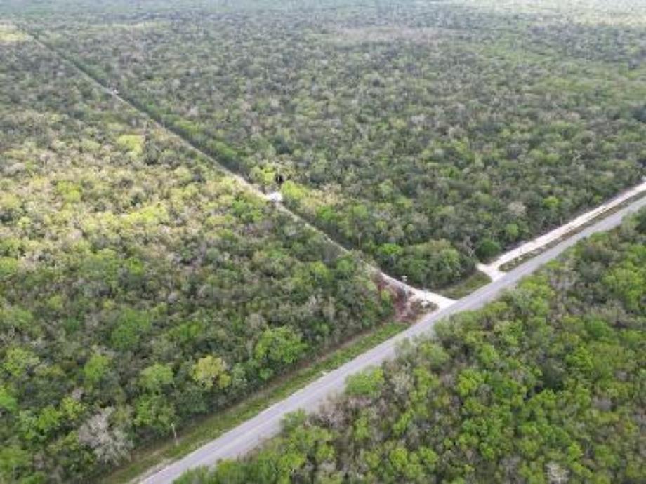 Quintana Roo Puerto Morelos - Leona Vicario, Puerto Morelos, Quintana Roo, 77580, Mexico, 1 Bedroom Bedrooms, ,1 BathroomBathrooms,Residential,For Sale,Quintana Roo Puerto Morelos - Leona Vicario,1640742
