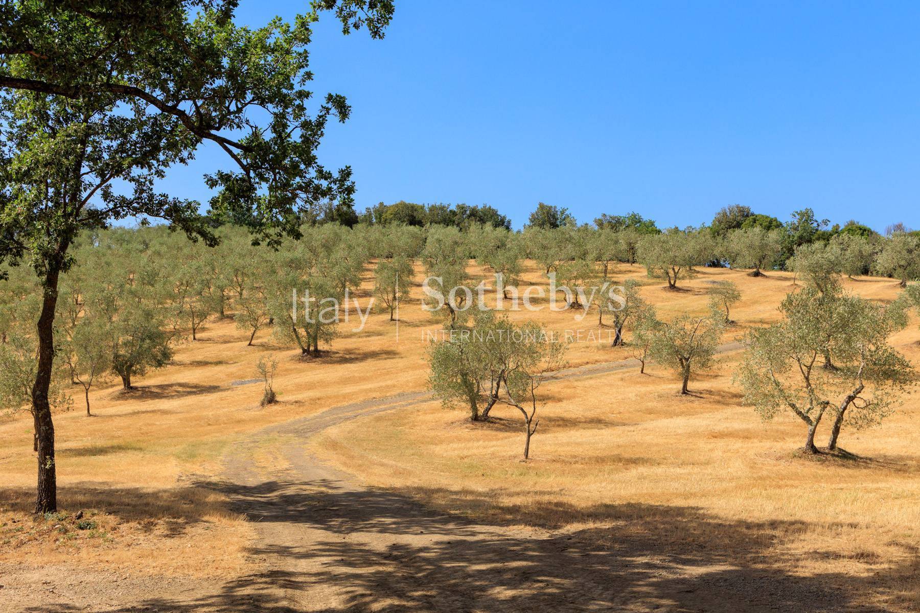  One-of-a-kind Hunting Reserve in Maremma - 物件實景