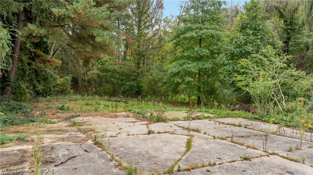 1356 E Turkeyfoot Lake Road, Akron, Ohio, 44312, United States, ,Land,For Sale,1356 E Turkeyfoot Lake Road,1668740