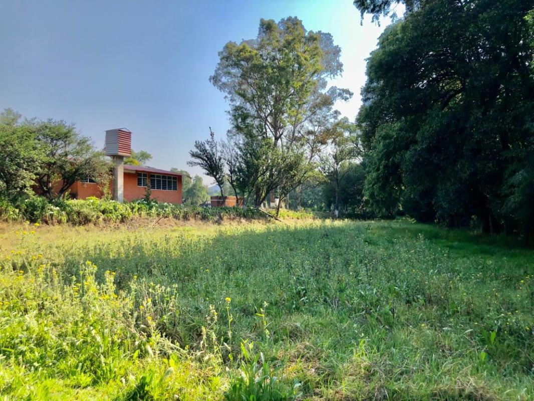 Paseo de las Bugambilias, Tepotzotlán, Estado de México, 54604, Mexico, 1 Bedroom Bedrooms, ,Residential,For Sale,Paseo de las Bugambilias,1624977
