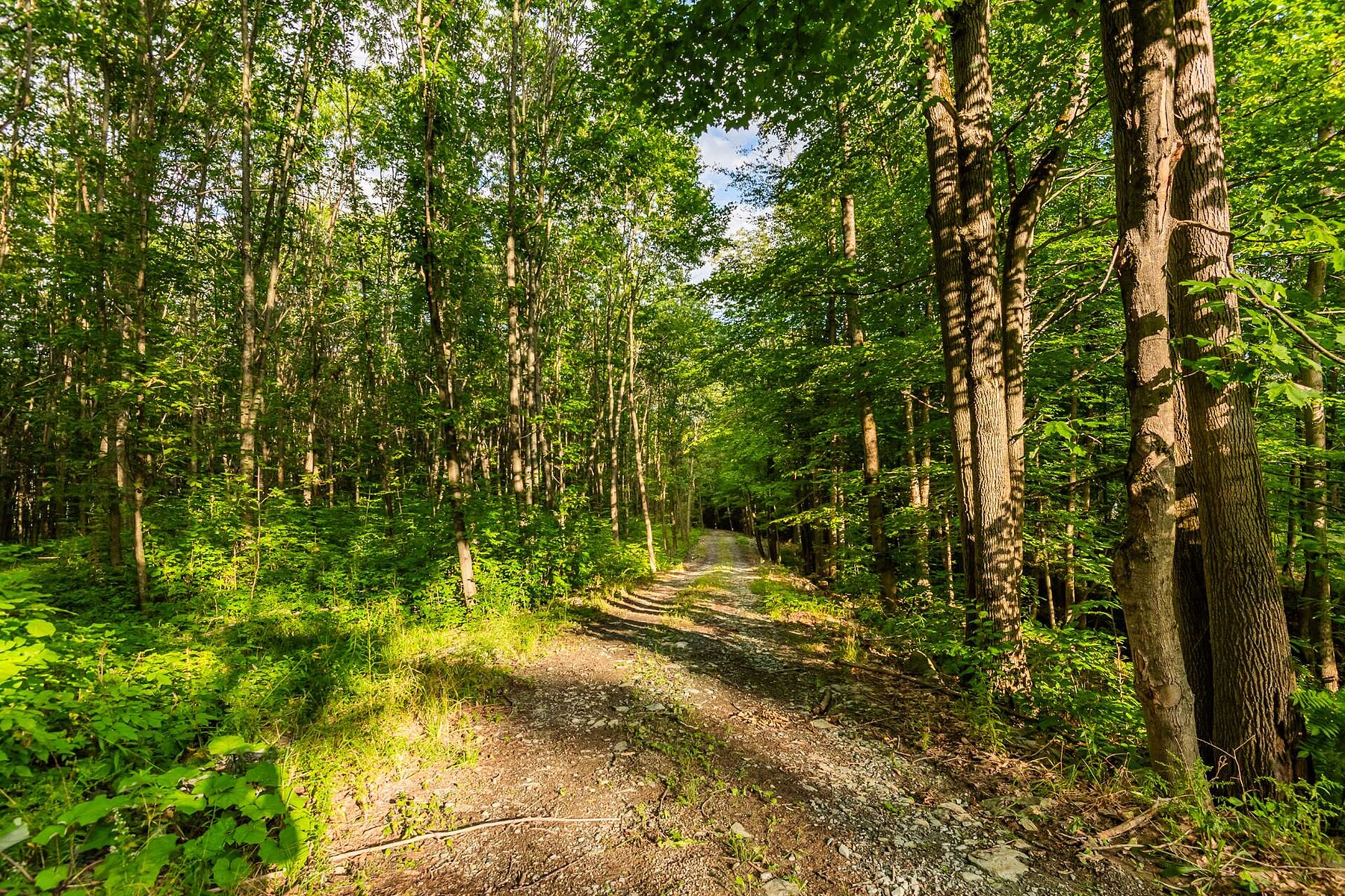  Hatley - Canton, Eastern Townships - 物件實景