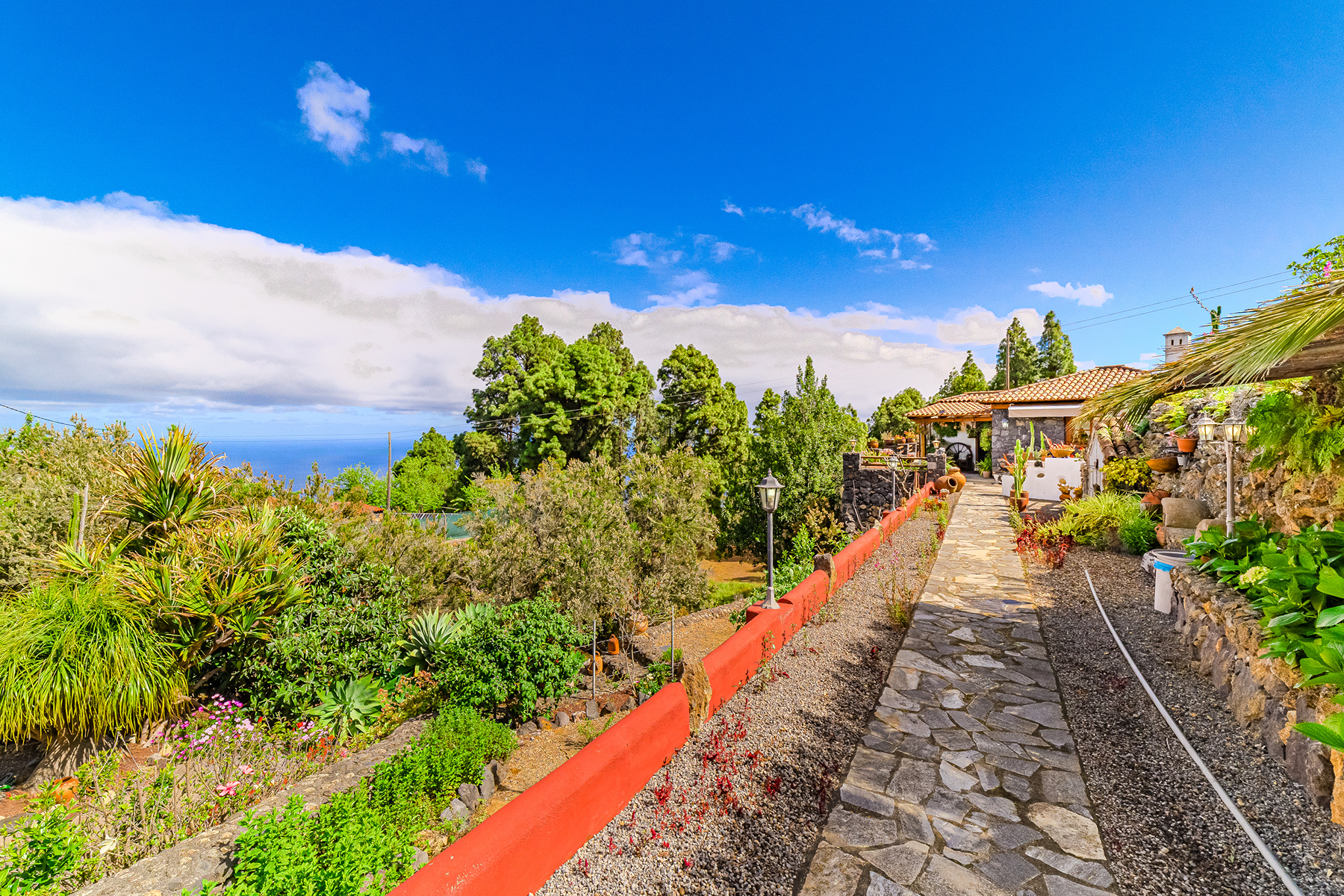  Rustic farmhouse in Icod de los Vinos, Tenerife - 物件實景