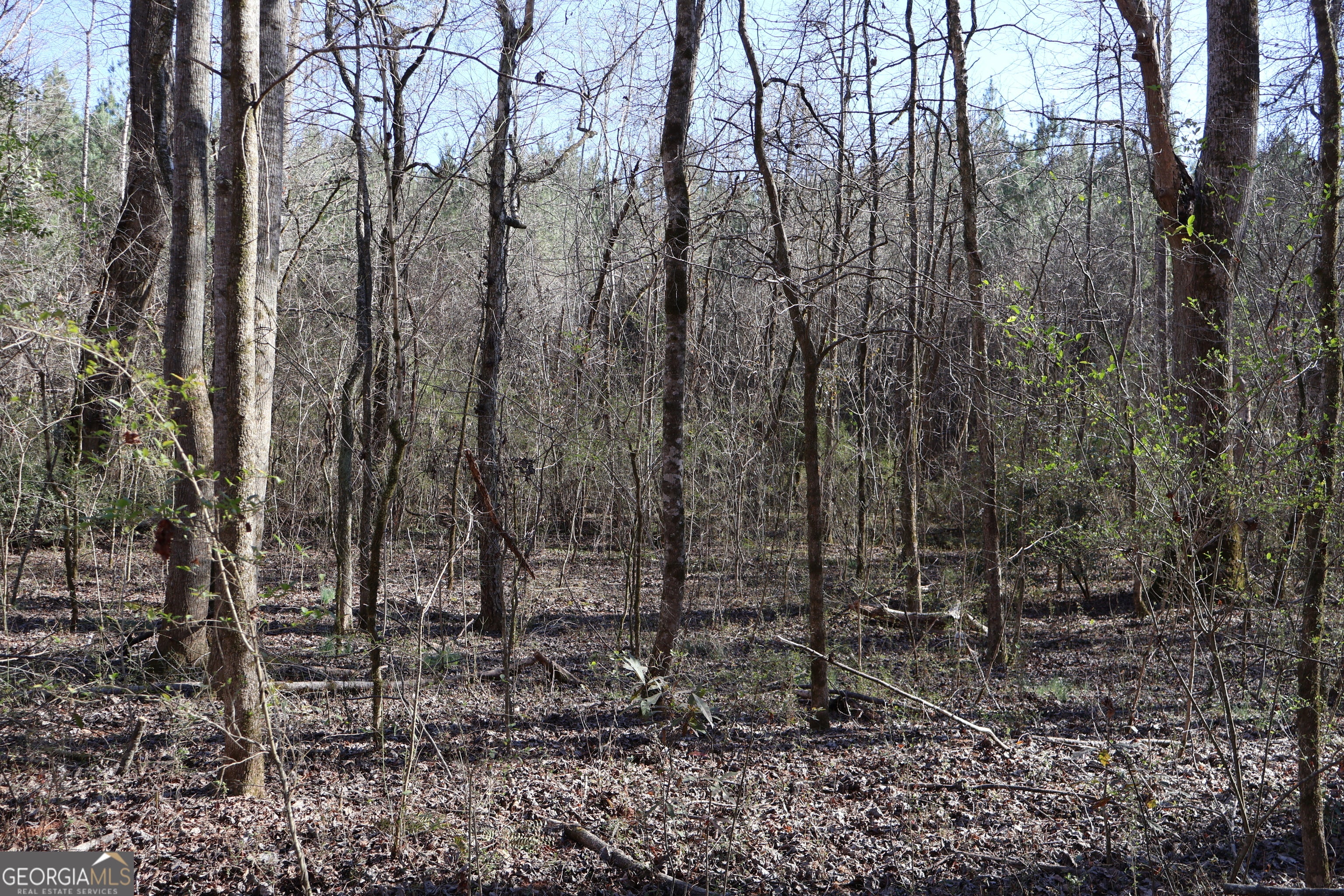 Forsyth, Georgia, 31029, United States, ,Land,For Sale,1858913