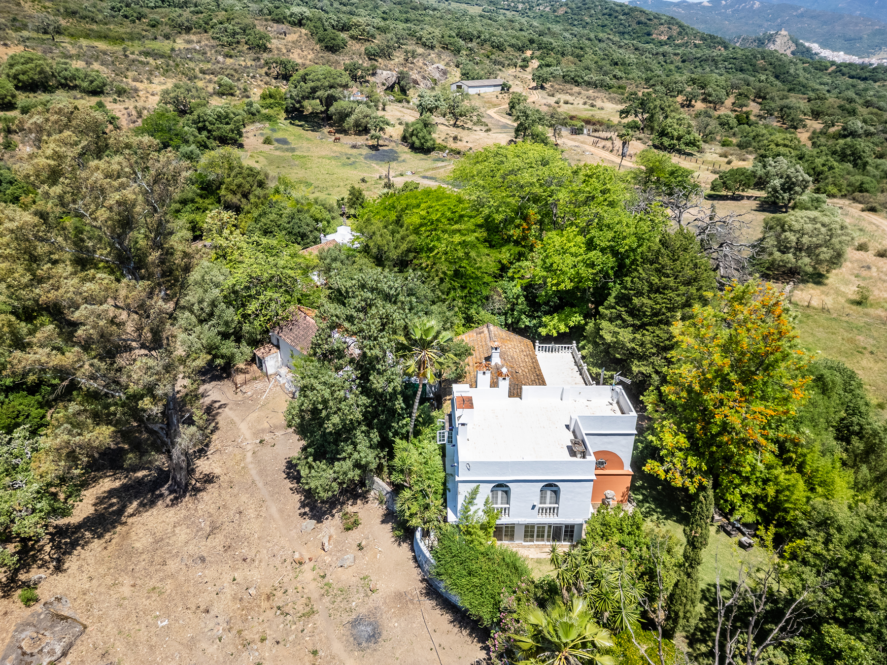  Exclusive Estate in Los Alcornocales Natural Park - 物件實景