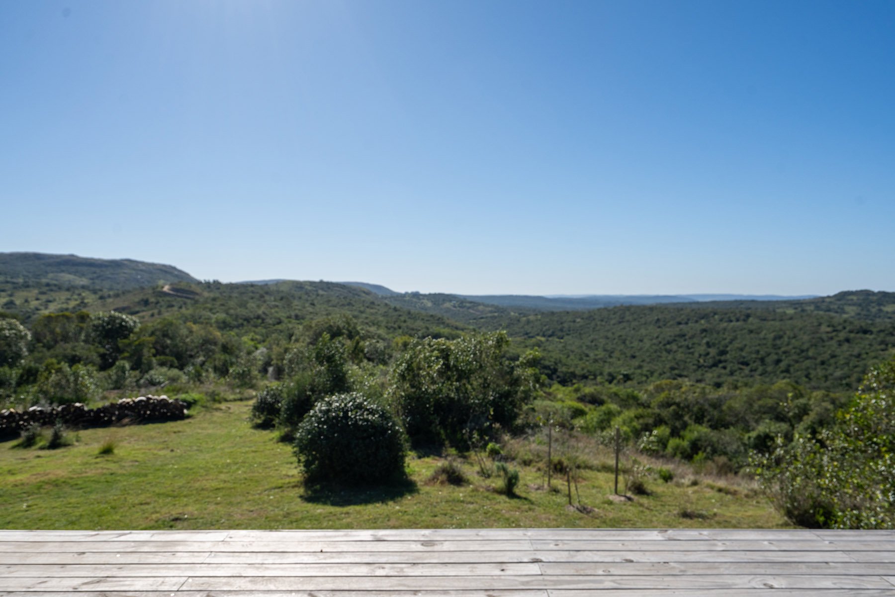  Farm in Cumbres de José Ignacio. - 物件實景