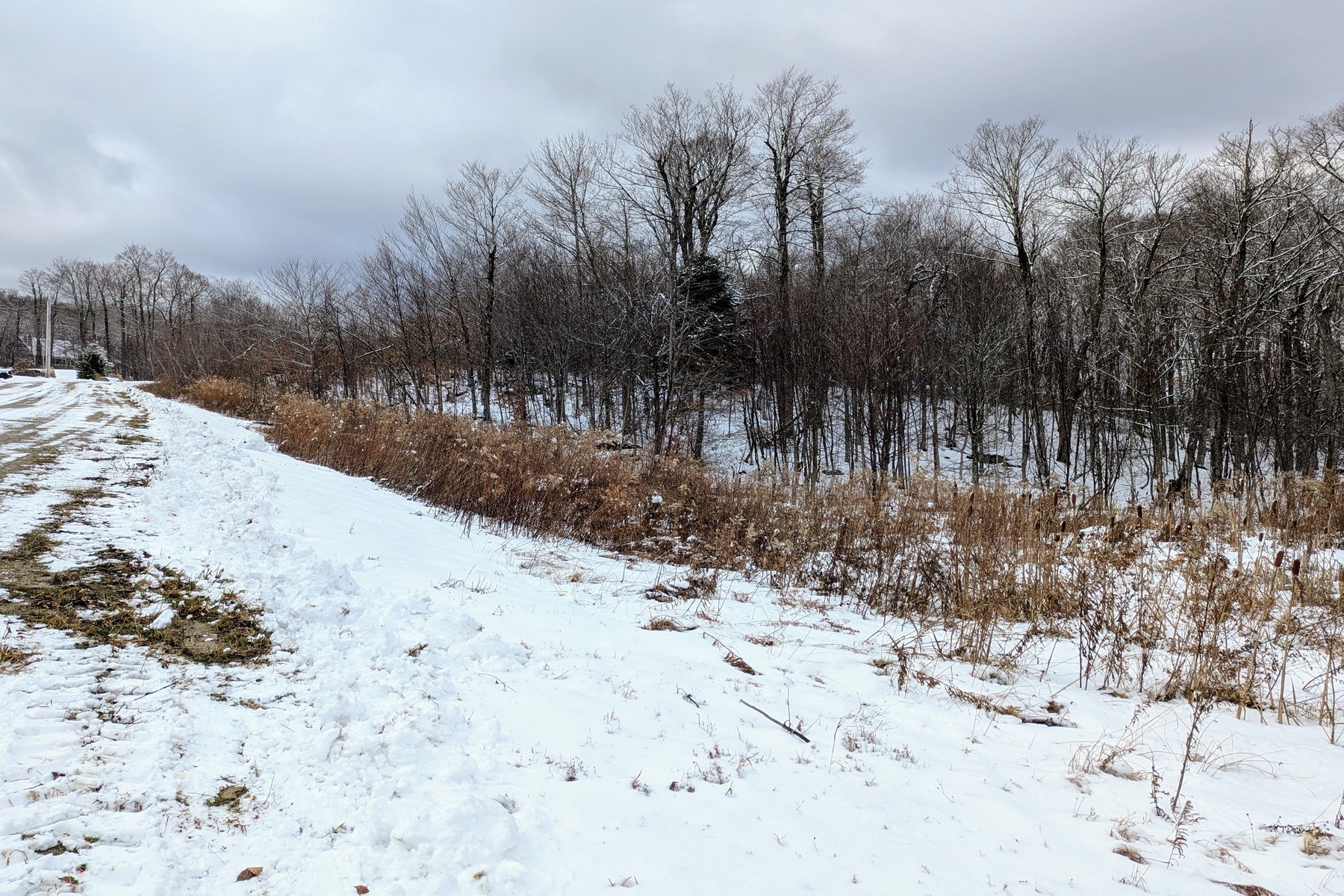  41 Moose Hollow Road - 物件實景