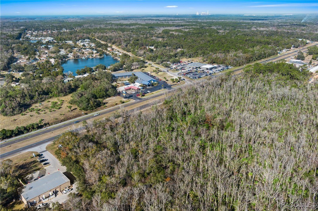 Crystal River, Florida, 34428, United States, ,Land,For Sale,1977195