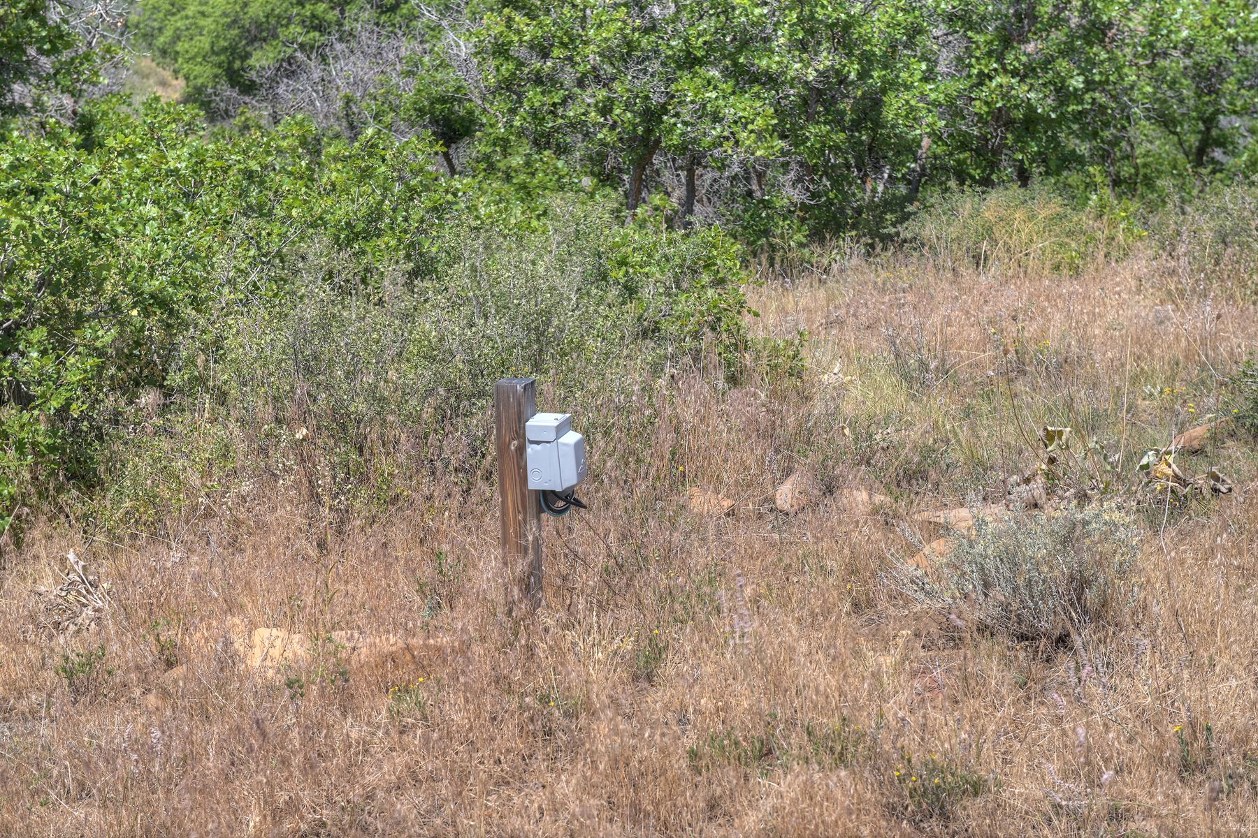  TBD Cross Creek Road, Hesperus, CO 81326 - 物件實景