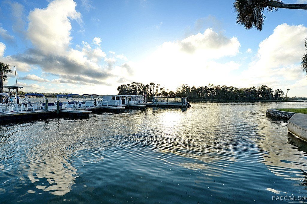 Crystal River, Florida, 34429, United States, ,Residential,For Sale,1977748