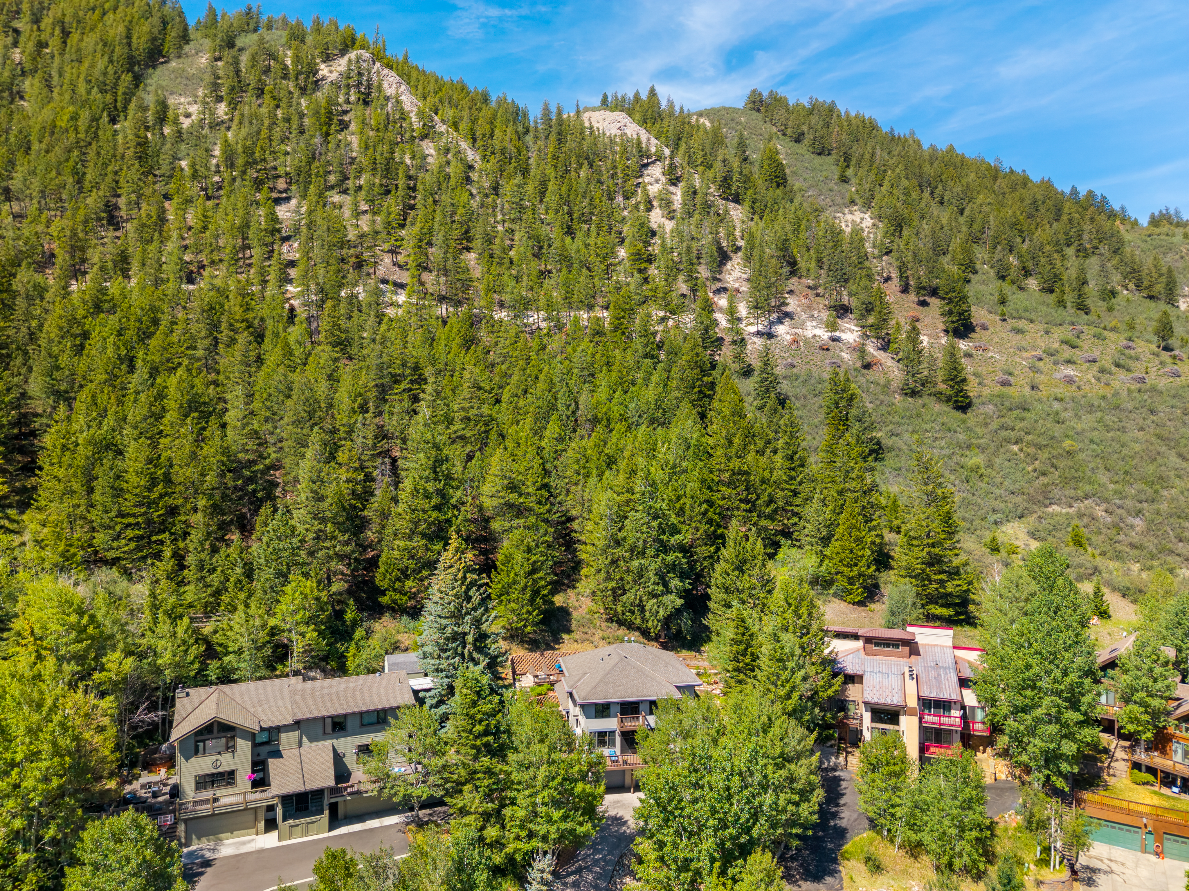  Lush, High-Alpine Gardens and Backs Directly to the EagleVail Trail System - 物件實景