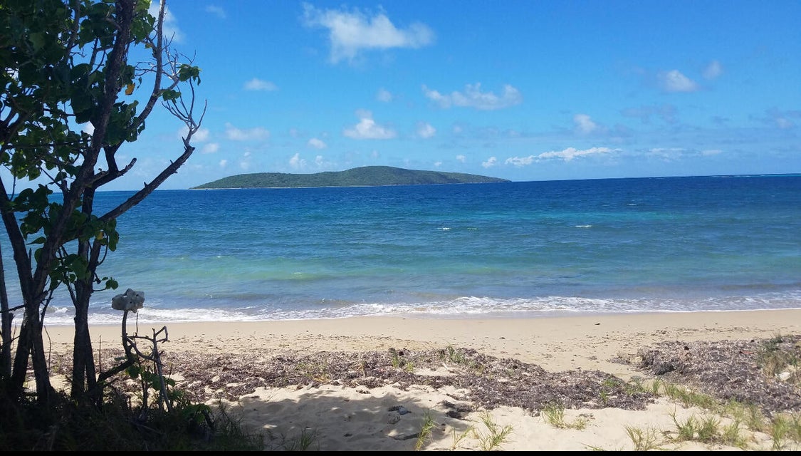 St. Croix, VI, 00820, VI, 7 Bedrooms Bedrooms, ,7 BathroomsBathrooms,Residential,For Sale,1690781