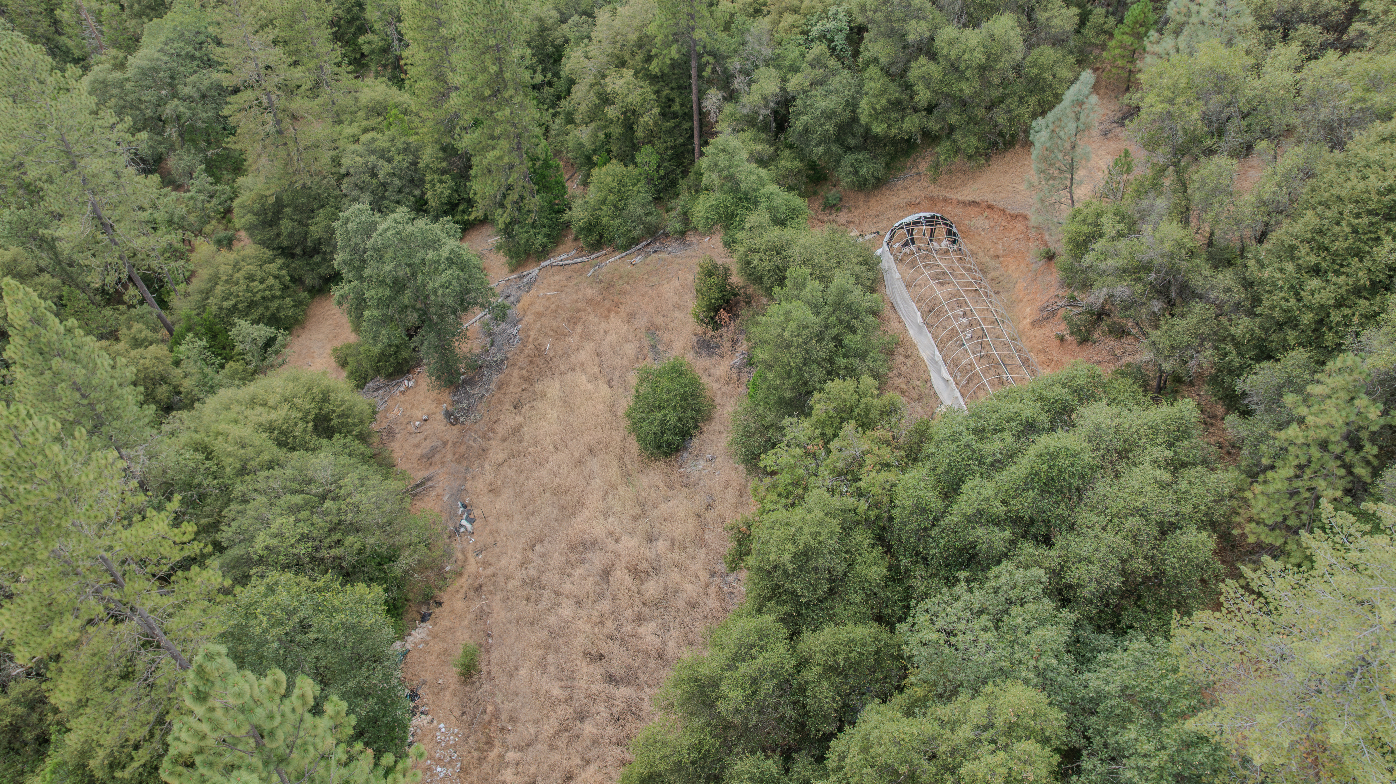  18101 Old River Road, Fiddletown, CA 95629 - 物件實景