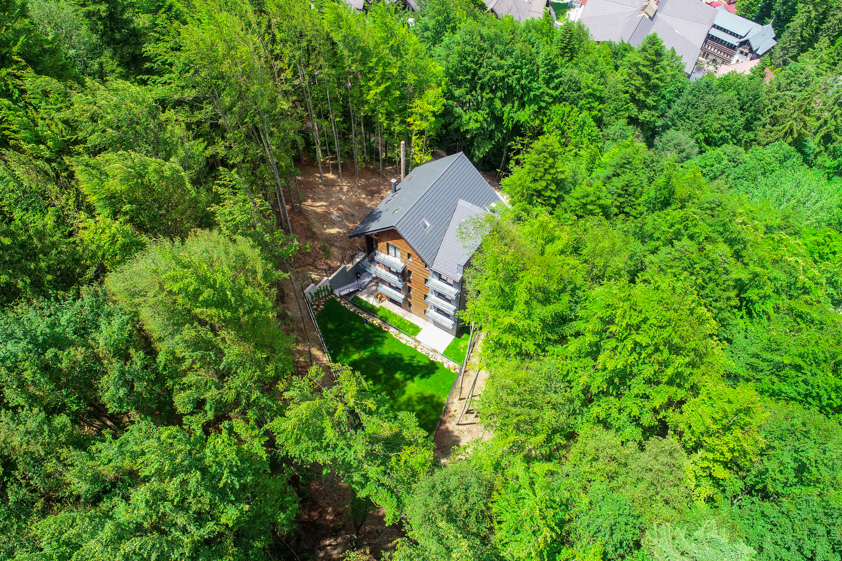  Penthouse Bordering the Forest, Sinaia - 物件實景