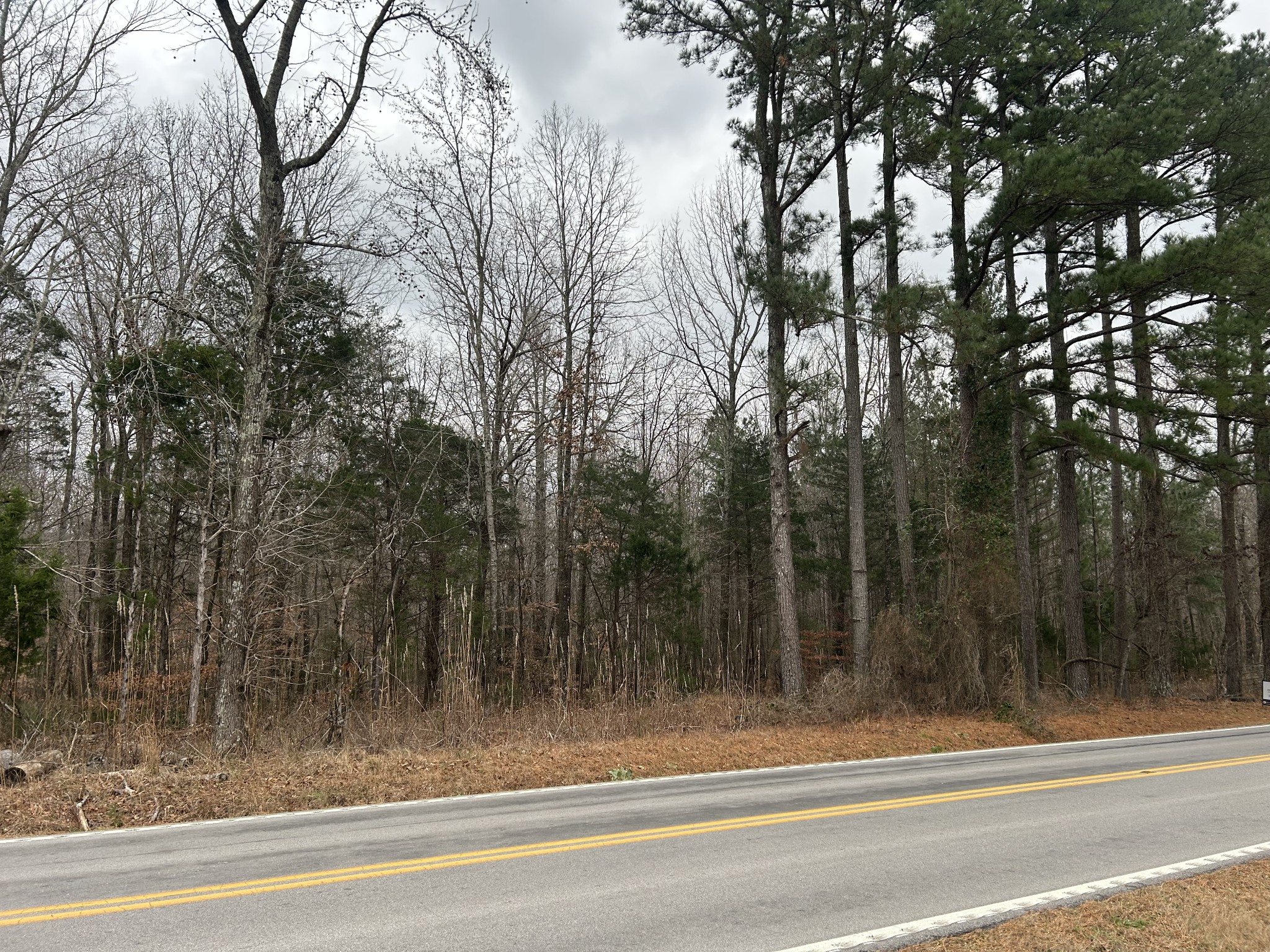 Manchester, Tennessee, 37355, United States, ,Land,For Sale,2006047