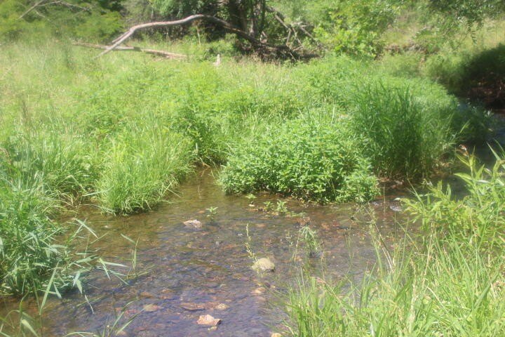Polk, Missouri, 65727, United States, ,Land,For Sale,1980569