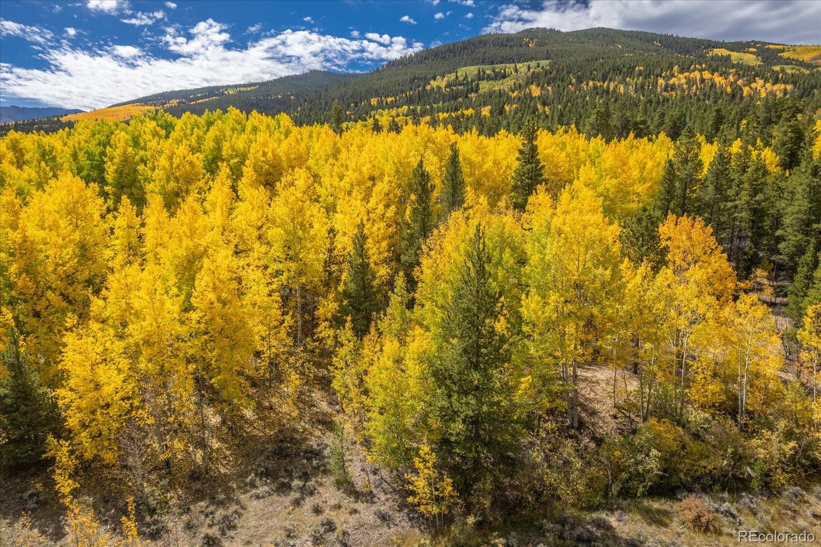 Twin Lakes, Colorado, 81251, United States, ,Land,For Sale,1975284