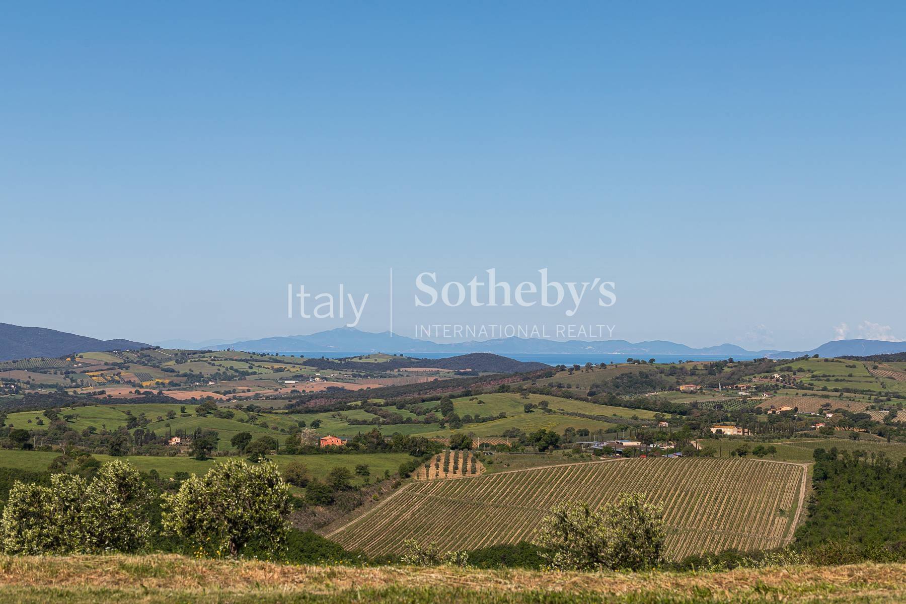  Exclusive wine estate in the Tuscan hills - 物件實景