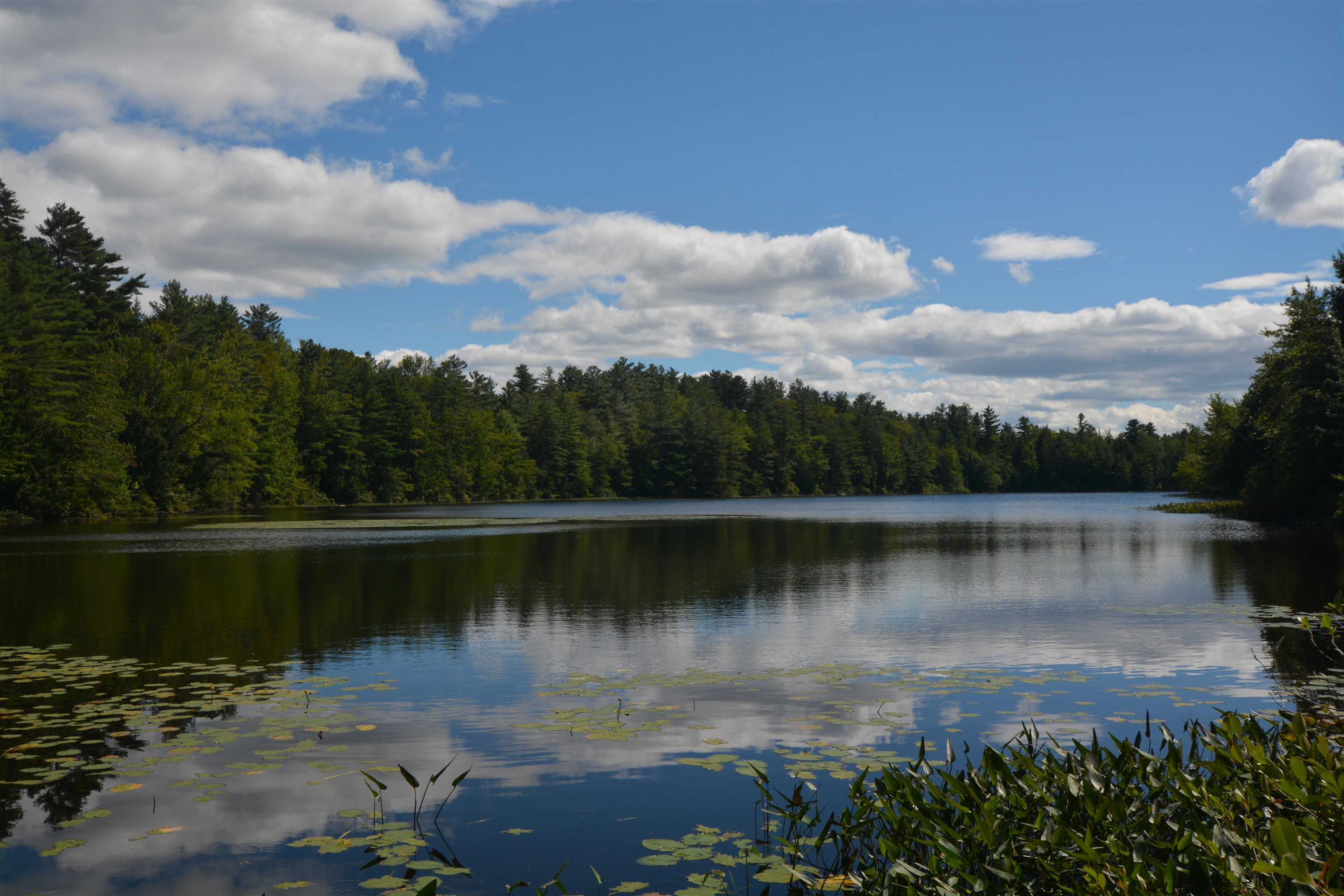 Grantham, New Hampshire, 03753, United States, 3 Bedrooms Bedrooms, ,3 BathroomsBathrooms,Residential,For Sale,1932050
