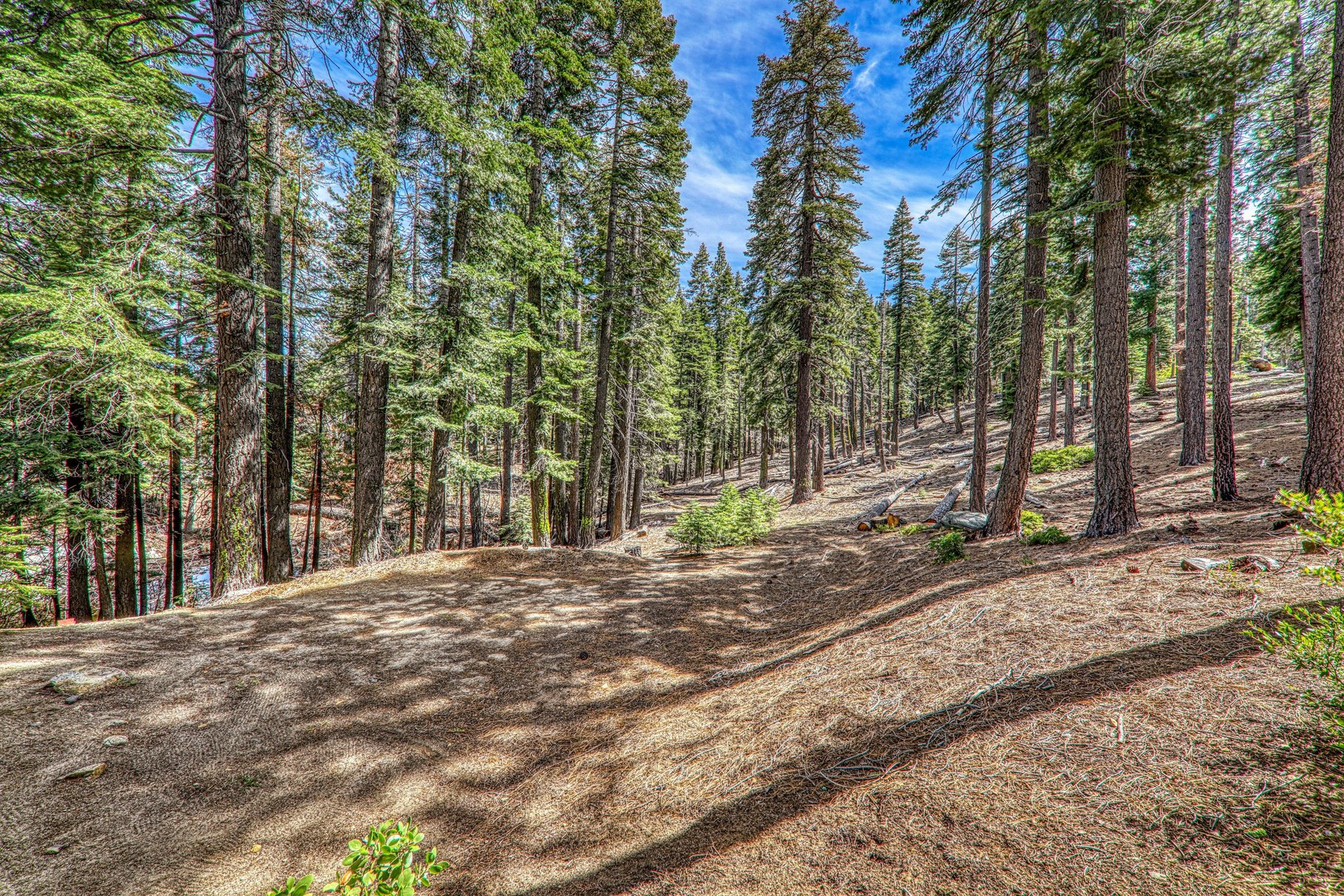  Lake Tahoe Sanctuary with HOA Pier, Beach, and Buoy Field - 物件實景