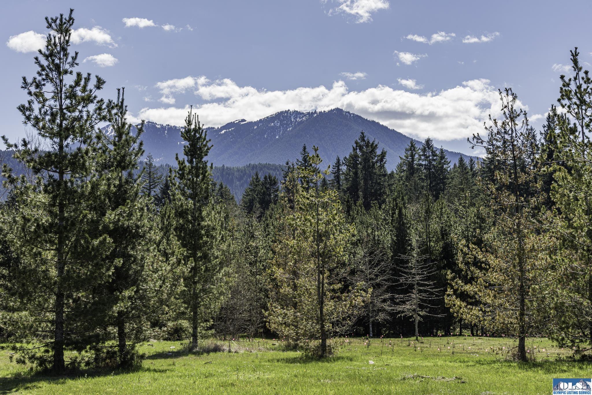 Sequim, Washington, 98382, United States, ,Land,For Sale,1787569