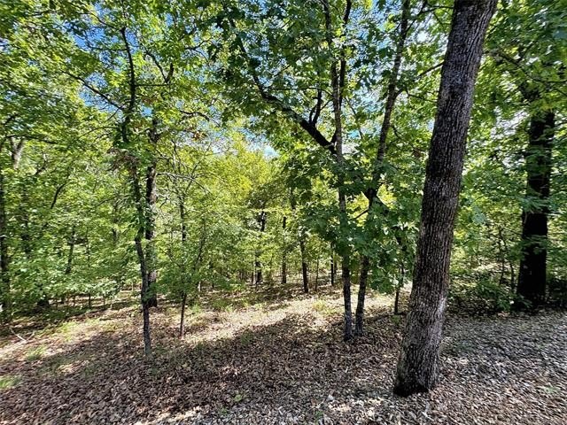 Park Hill, Oklahoma, 74451, United States, 4 Bedrooms Bedrooms, ,3 BathroomsBathrooms,Residential,For Sale,1978884