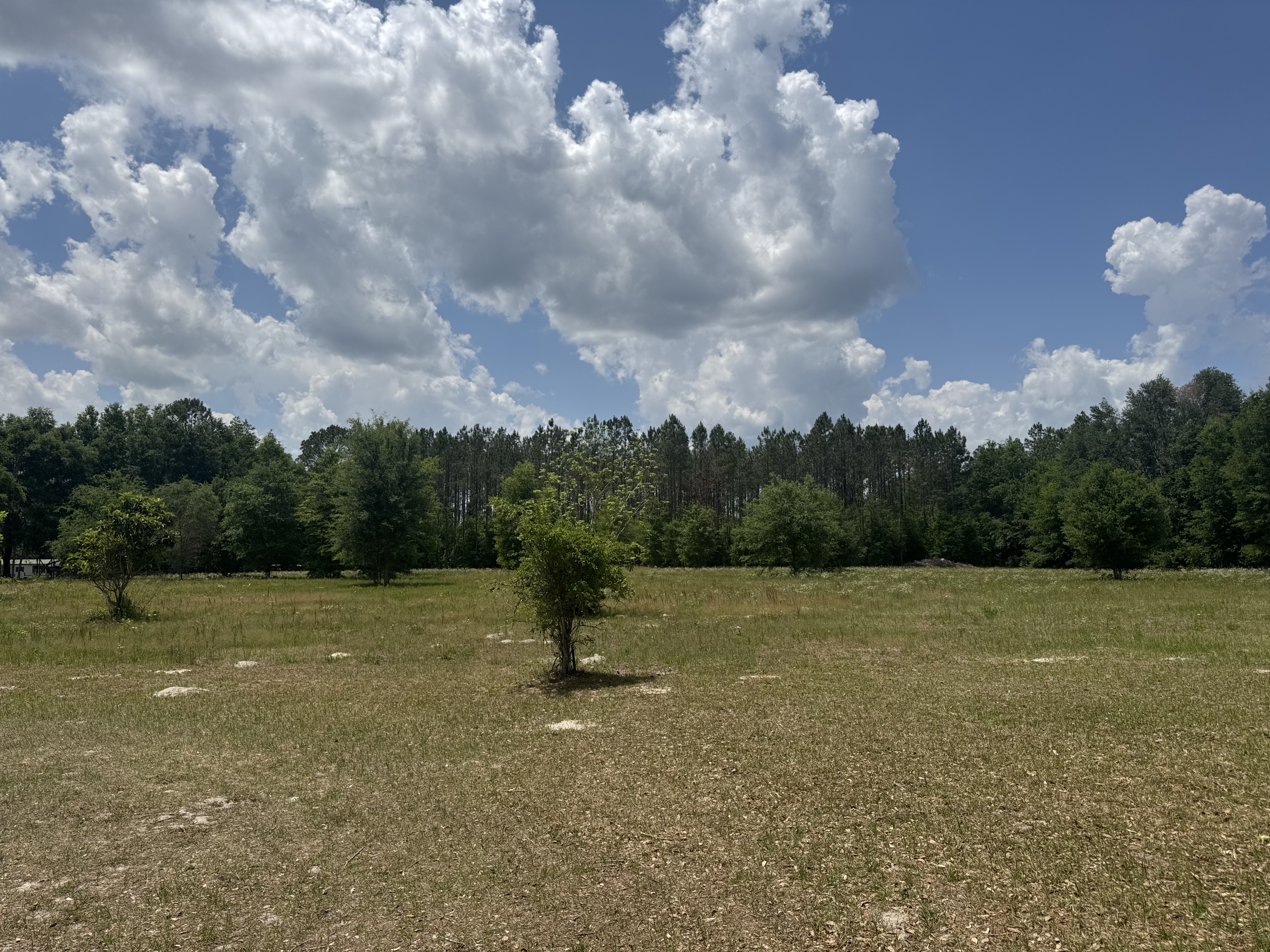 LAKE CITY, Florida, 32024, United States, 4 Bedrooms Bedrooms, ,2 BathroomsBathrooms,Residential,For Sale,1794227