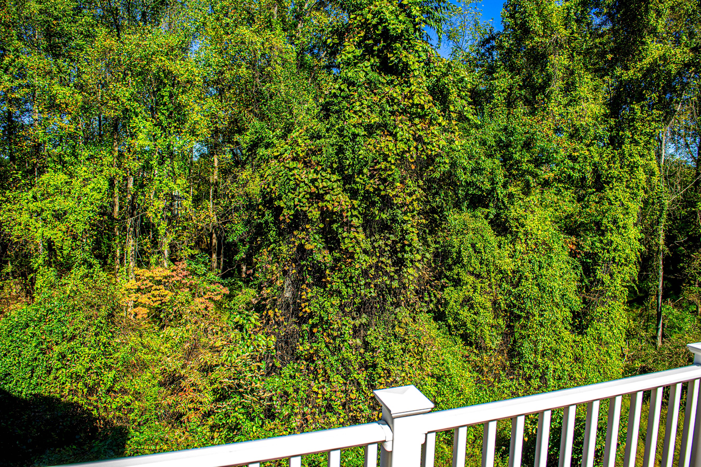  Woods of Tiber Branch II - 物件實景