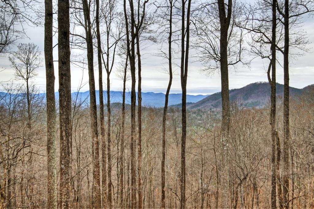 Ellijay, Georgia, 30536, United States, 4 Bedrooms Bedrooms, ,3 BathroomsBathrooms,Residential,For Sale,2003227